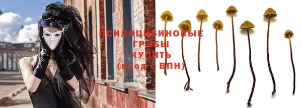 стафф Алексин