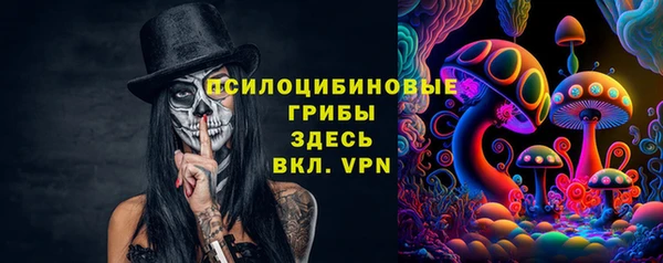 стафф Алексин