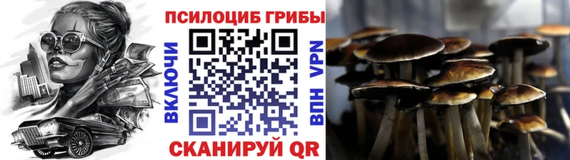 как найти закладки  Сясьстрой  Псилоцибиновые грибы прущие грибы 
